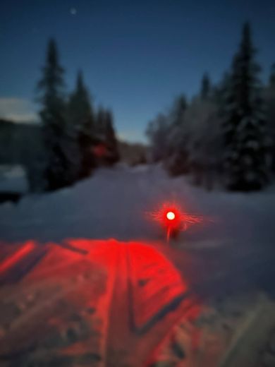 Bilde av VIP Dogwear Sikkerhetslys rødt red